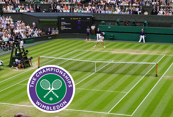 Read more about the article Analysis of the Wimbledon 2024 final