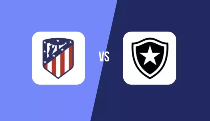 Botafogo are sitting pretty at the Club World Cup and need just a point from their final Group B game